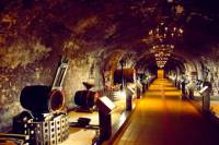 Champagne Day Tour from Paris : Reims, Mumm cellars visit, Champagne Tasting