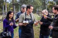 Chef-Led Hunter Valley Gourmet Food and Wine Day Trip from Sydney