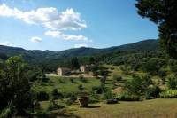 Chianti Region Wine Tasting Half-Day Trip from Florence