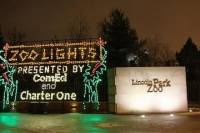 Chicago Holiday Lights Trolley and Christmas Market Tour
