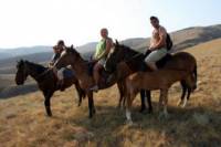 Christchurch Horse Trekking