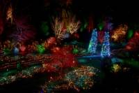 Christmas in Victoria: Holiday Lights Tour and Butchart Gardens Including Dinner