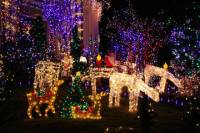 Christmas Lights Walking Tour of Dyker Heights Brooklyn