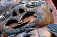 Coast and Rainforest Walk Eco-Tour from Auckland