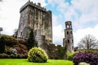 Cobh Shore Excursion: Blarney Castle, Cork City and Kinsale Private Tour