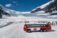 Best Columbia Icefield Tour including the Glacier Skywalk from Banff