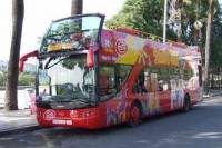 Copenhagen Shore Excursion: Copenhagen City Hop-on Hop-off Tour