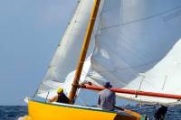 Coral Bay Day Sail in St John