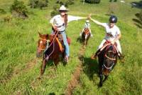 Country Day Ride from Rainbow Beach