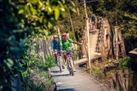 Countryside Biking Tour from Bangkok