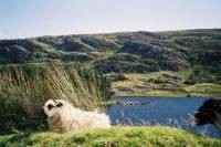 County Kerry Day Trip from Dublin