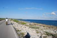 Cozumel East Side Scenic Bike Tour Including Lunch