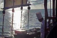 Cozumel Lobster Dinner Cruise
