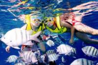 Cozumel Scenic Drive and Snorkeling Adventure