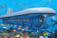 Cozumel Shore Excursion: Atlantis Submarine Adventure
