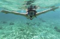 Curacao Snorkel Adventure