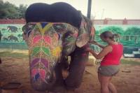 Day Excursion with Elephants in Jaipur