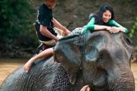 Day Tour of Elephant Village and Tad Sae Waterfall