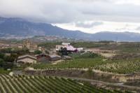 Day tour to Rioja Wine Region from San Sebastián