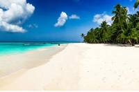 Day Trip Saona Island from Punta Cana