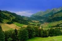 Day Trip to Gruyères including Golden Panoramic Express Train