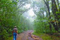 Day Trip to La Tigra National Park