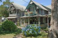 Day Trip to Martha's Vineyard