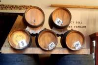 Day Trip to Winery and Cattle Ranch