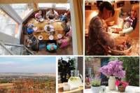 Day with A Local: Full-Day Cultural Family Experience including 4-Course Dinner