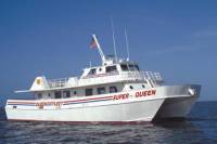 Deep Sea Fishing Day Tour from Orlando