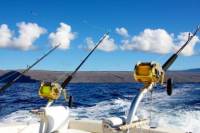 Deep Sea Fishing from St Lucia
