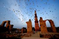 Delhi Private Custom Sightseeing Day Tour