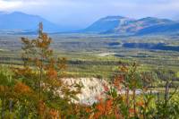 Denali National Park Trail Walk