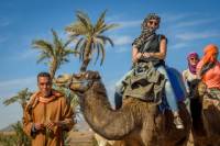Desert and Palm Grove Camel Ride from Marrakech Including Berber Village Visit