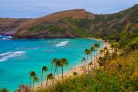 Diamond Head & Oahu Coast Half-Day Tour