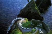 Dingle and Inch Beach Day Tour from Killarney