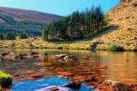 Dingle Peninsula Tour from Limerick
