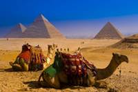 Discover Cairo: Pyramids Of Giza And The Sphinx Short Trip