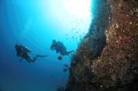 Discover Scuba Diving Experience for Beginners