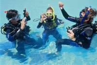 Discover Scuba Diving Including Sightseeing Boat Tour