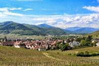 Discover the Wines of Alsace in One Day