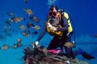 Discovery Diving Adventure from Split