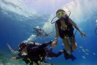 Dive and Drive Cozumel Adventure