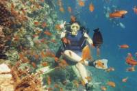 Dive Trip in Hurghada with Two Dive Sites