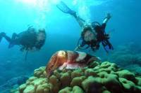 Diving At Galleon and Chimney From Marmaris