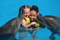 Dolphin Swimming in Sharm el Sheikh