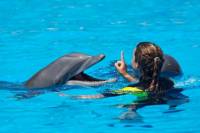 Dolphin Trainer for a Day in Cancun