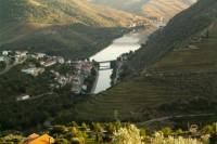 Douro Experience Private Tour