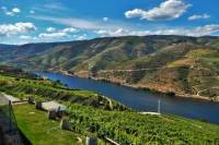 Douro Valley Guided Private Tour from Porto