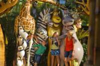 Dreamworld Theme Park Gold Coast Tickets